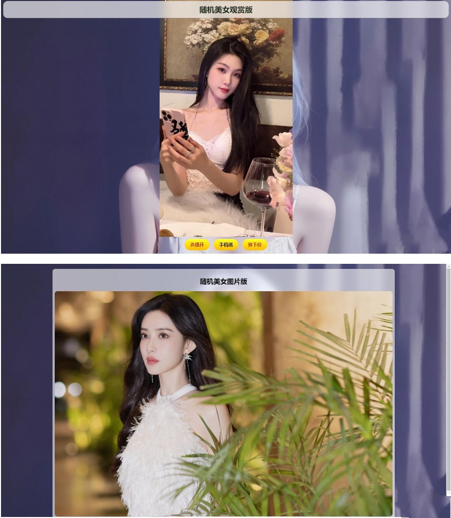 2025随机美图/视频源码